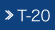 T-20